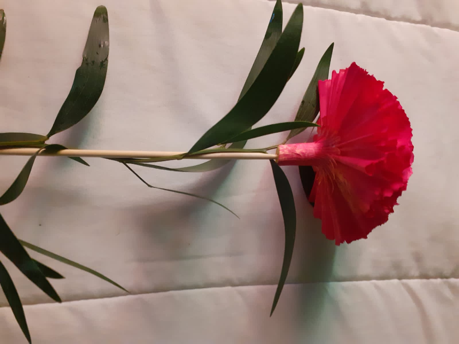imagen de FLOR DE MADERA