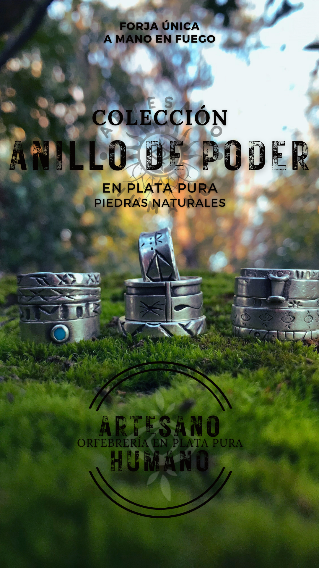 imagen de Anillo de Poder