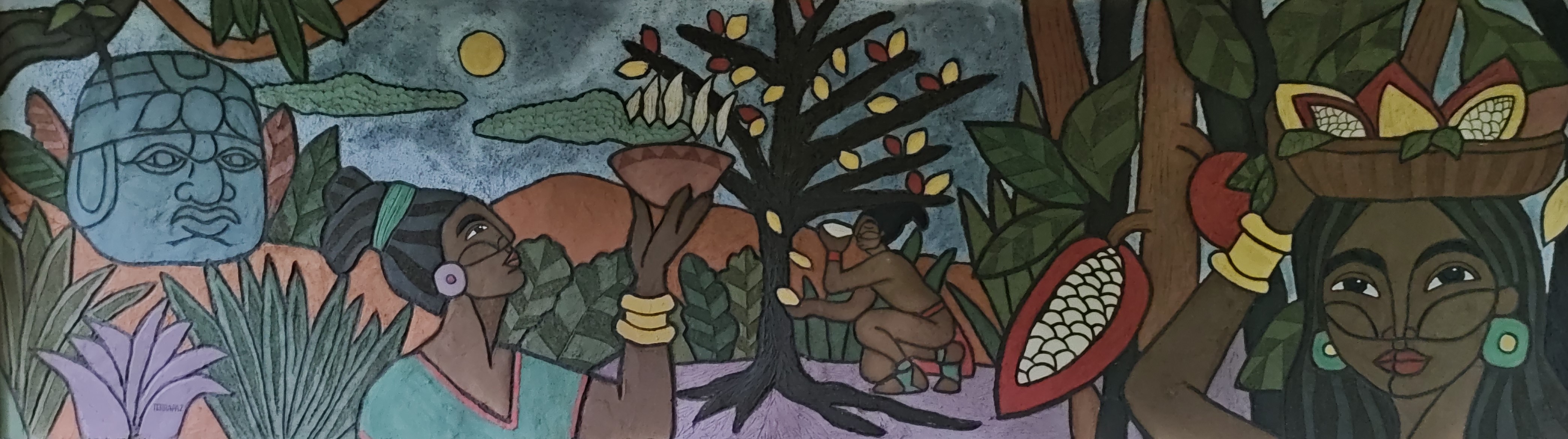 imagen de Cacao Olmeca